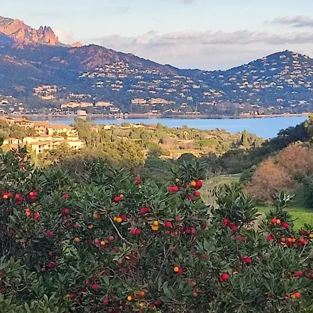 Vue Et Esterel Au Petit Paradis-terrasse 16 M2-cap Esterel-saint Raphael * Saint-Raphaël
