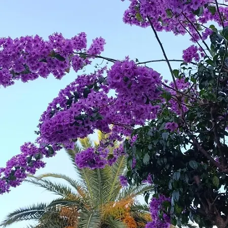 아파트 Au Petit Paradis A Cap Esterel Avec Grande Terrasse Vue